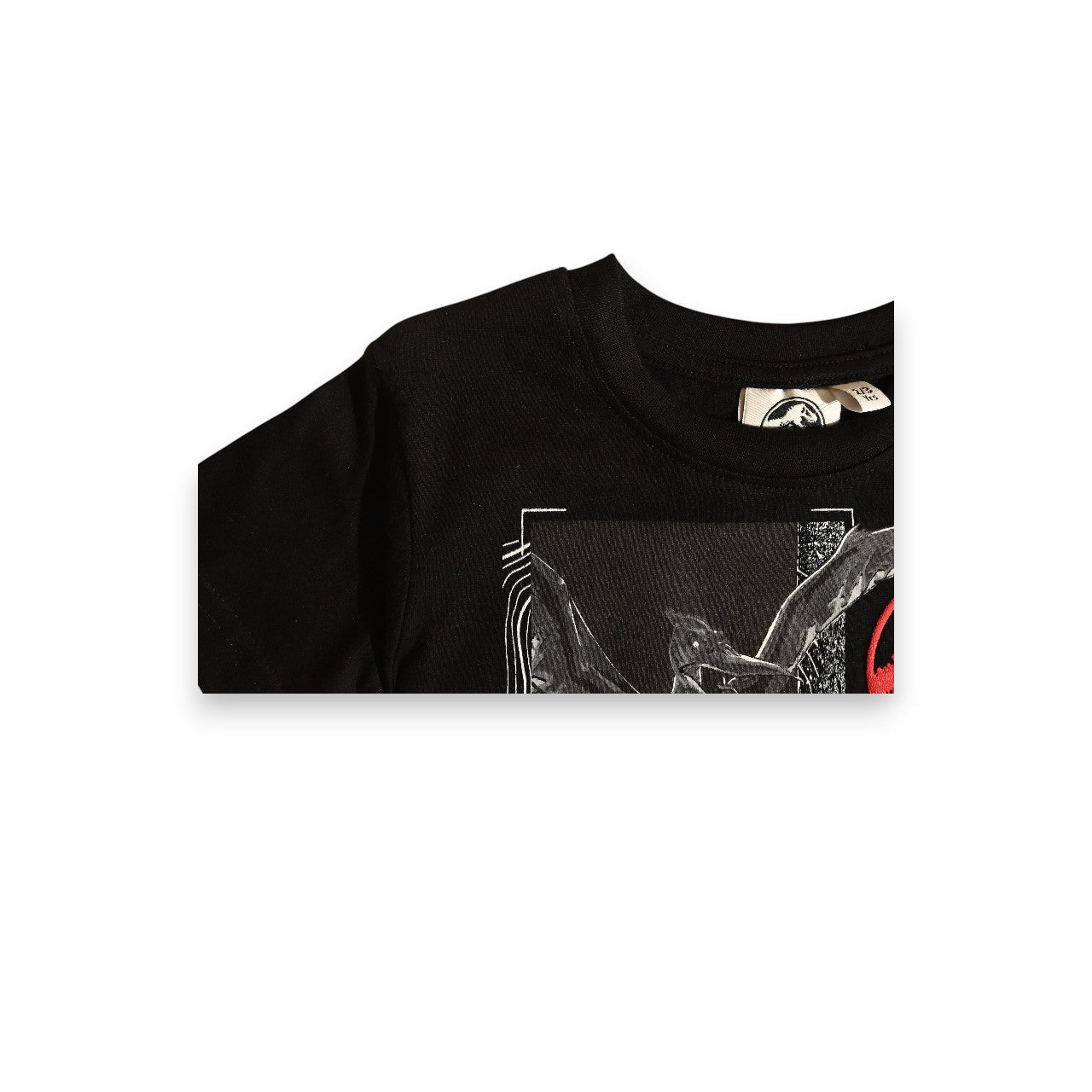 JURASSIC PARK | BOYS T-SHIRT | 100% COTTON