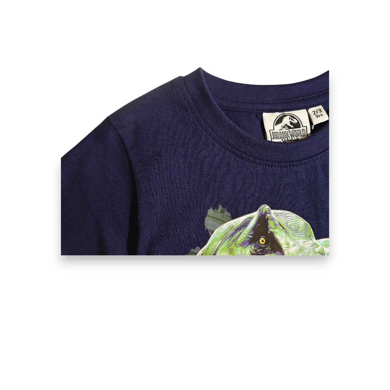 JURASSIC PARK | BOYS T-SHIRT | 100% COTTON