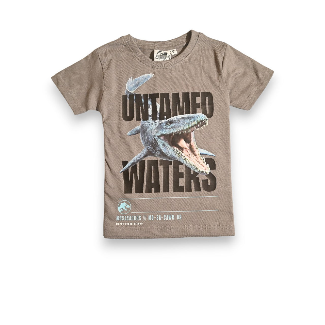 JURASSIC PARK | BOYS T-SHIRT & SHORTS SET | 100% COTTON