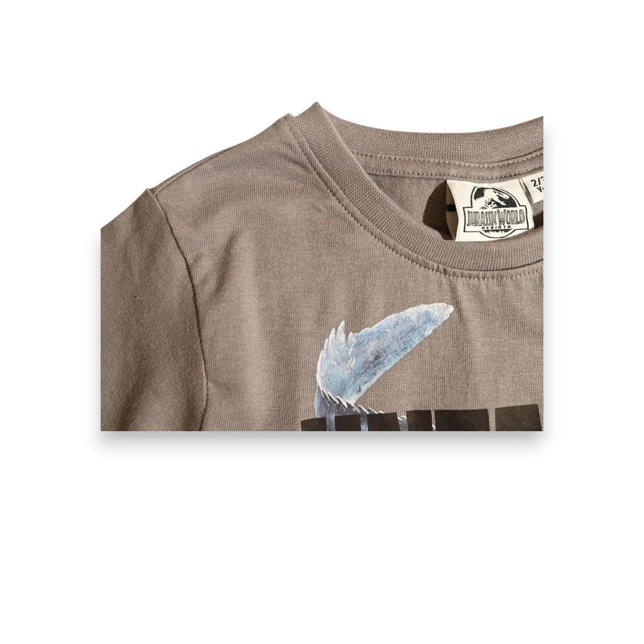 JURASSIC PARK | BOYS T-SHIRT & SHORTS SET | 100% COTTON