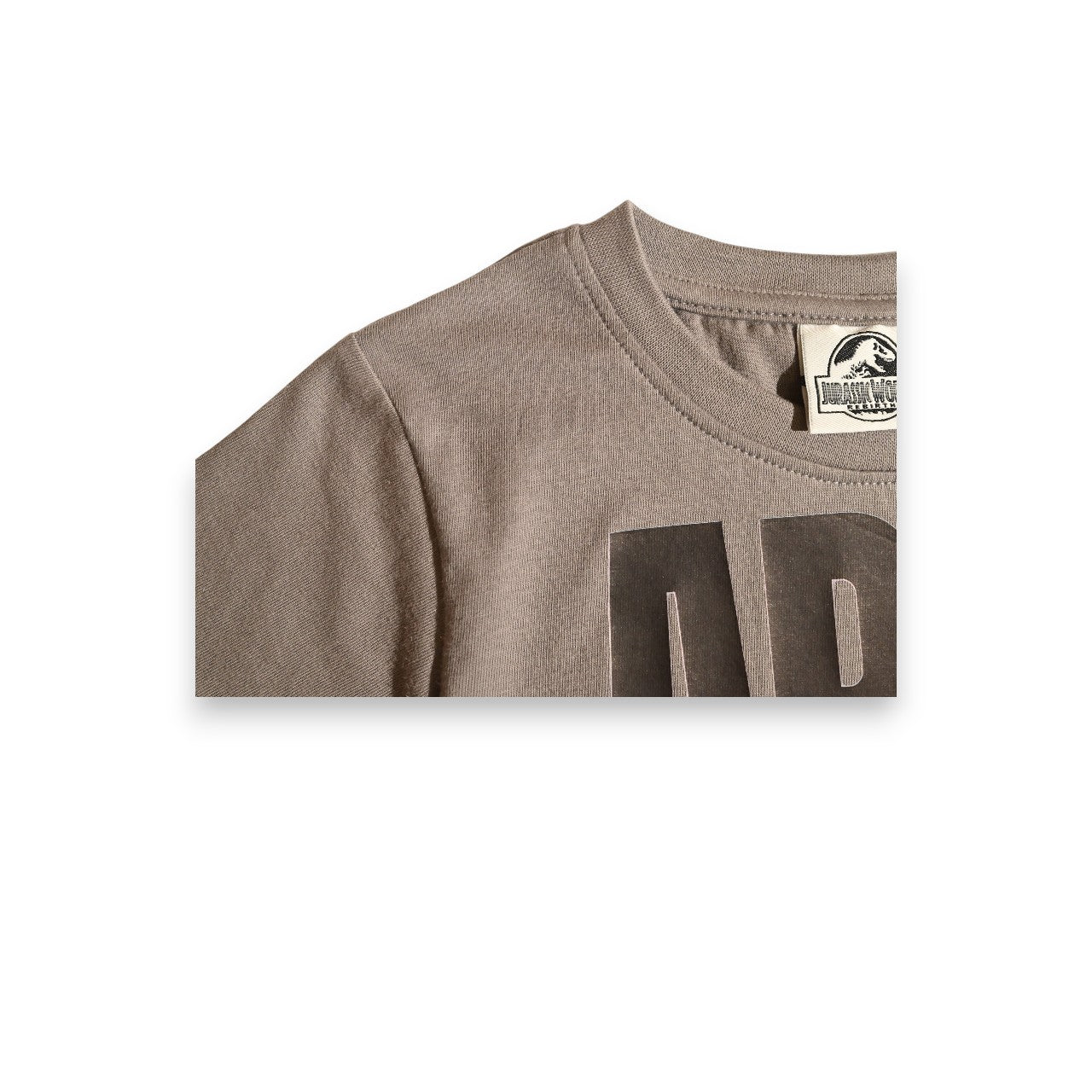 JURASSIC PARK | BOYS T-SHIRT | 100% COTTON