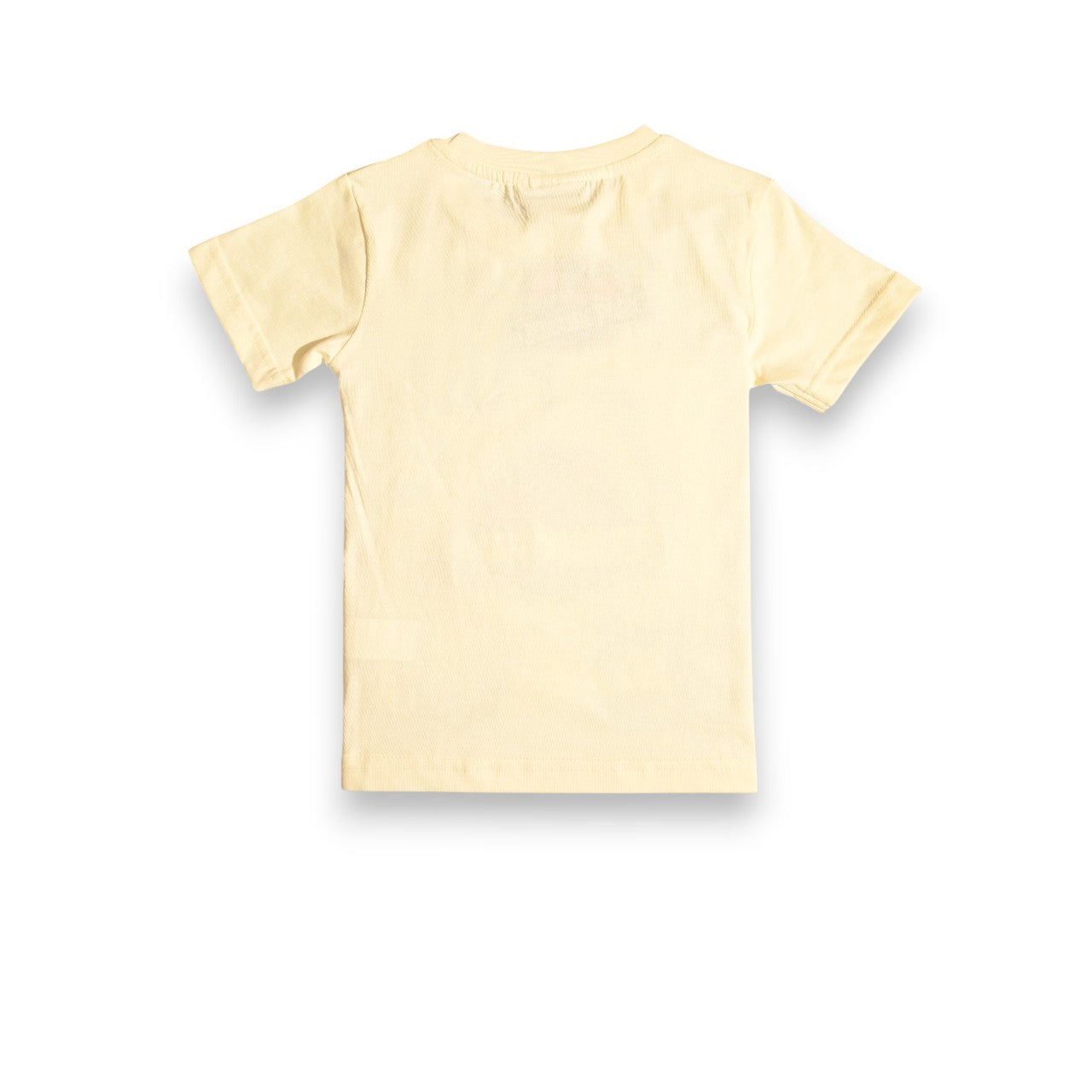 JURASSIC PARK | BOYS T-SHIRT | 100% COTTON