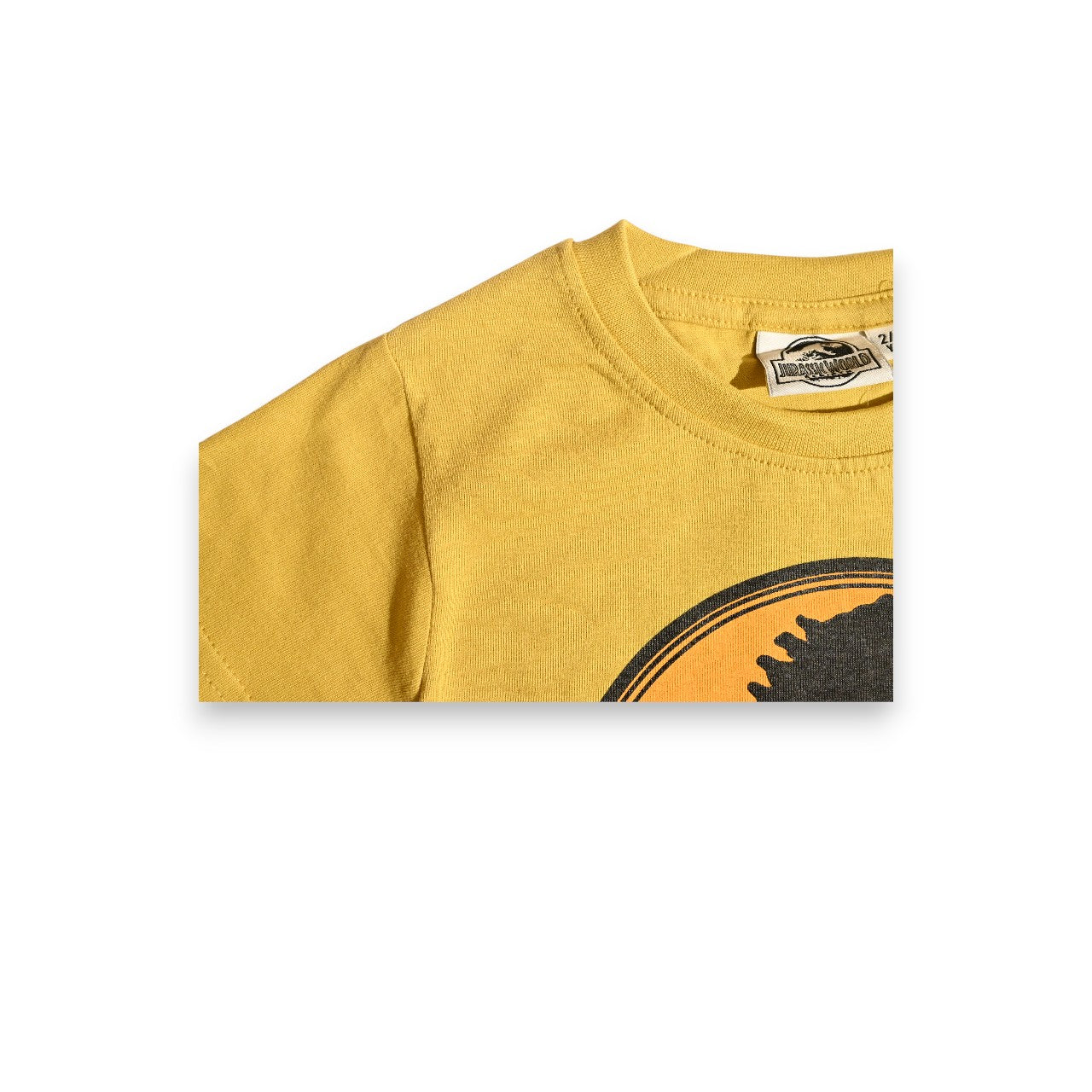 JURASSIC PARK | BOYS T-SHIRT | 100% COTTON
