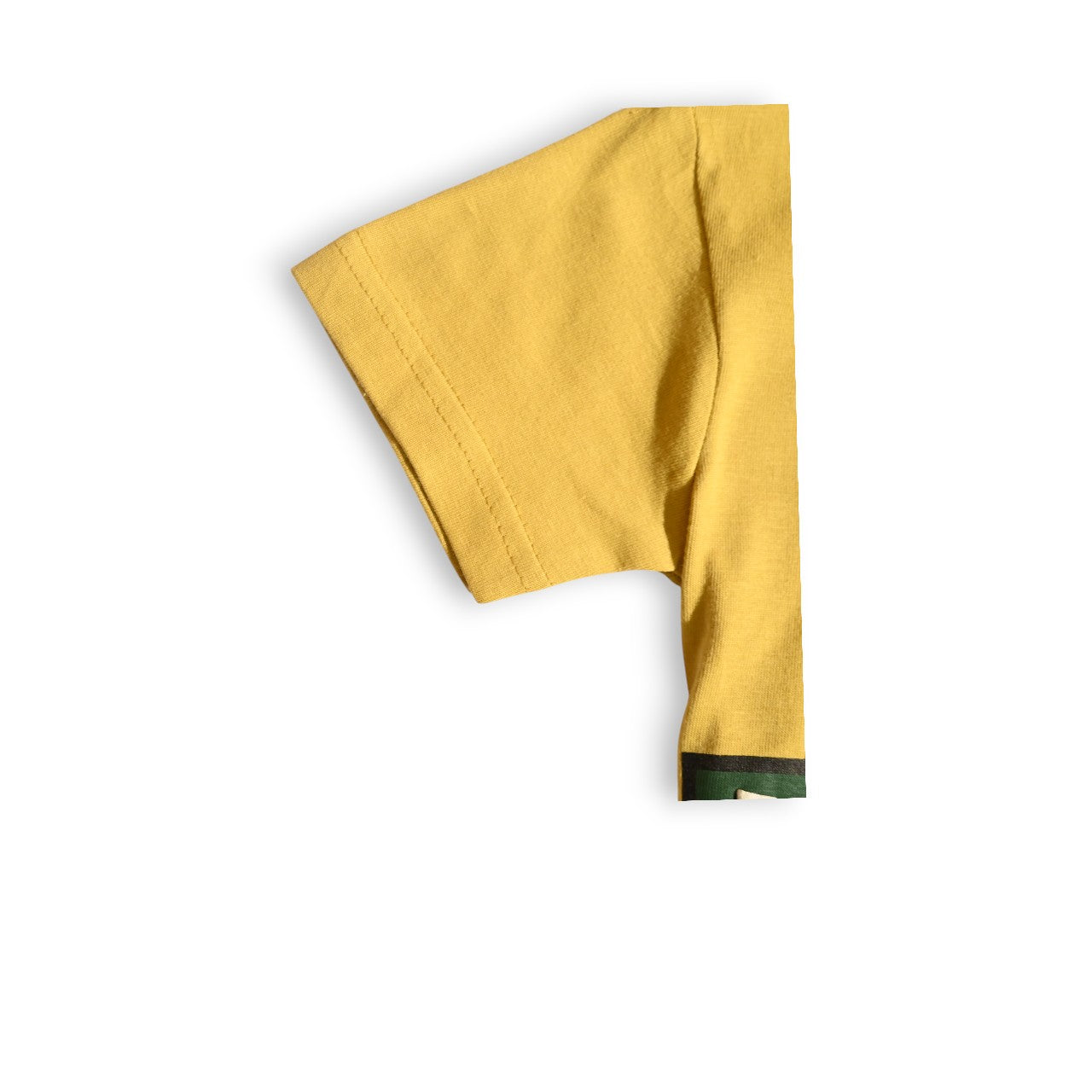 JURASSIC PARK | BOYS T-SHIRT | 100% COTTON