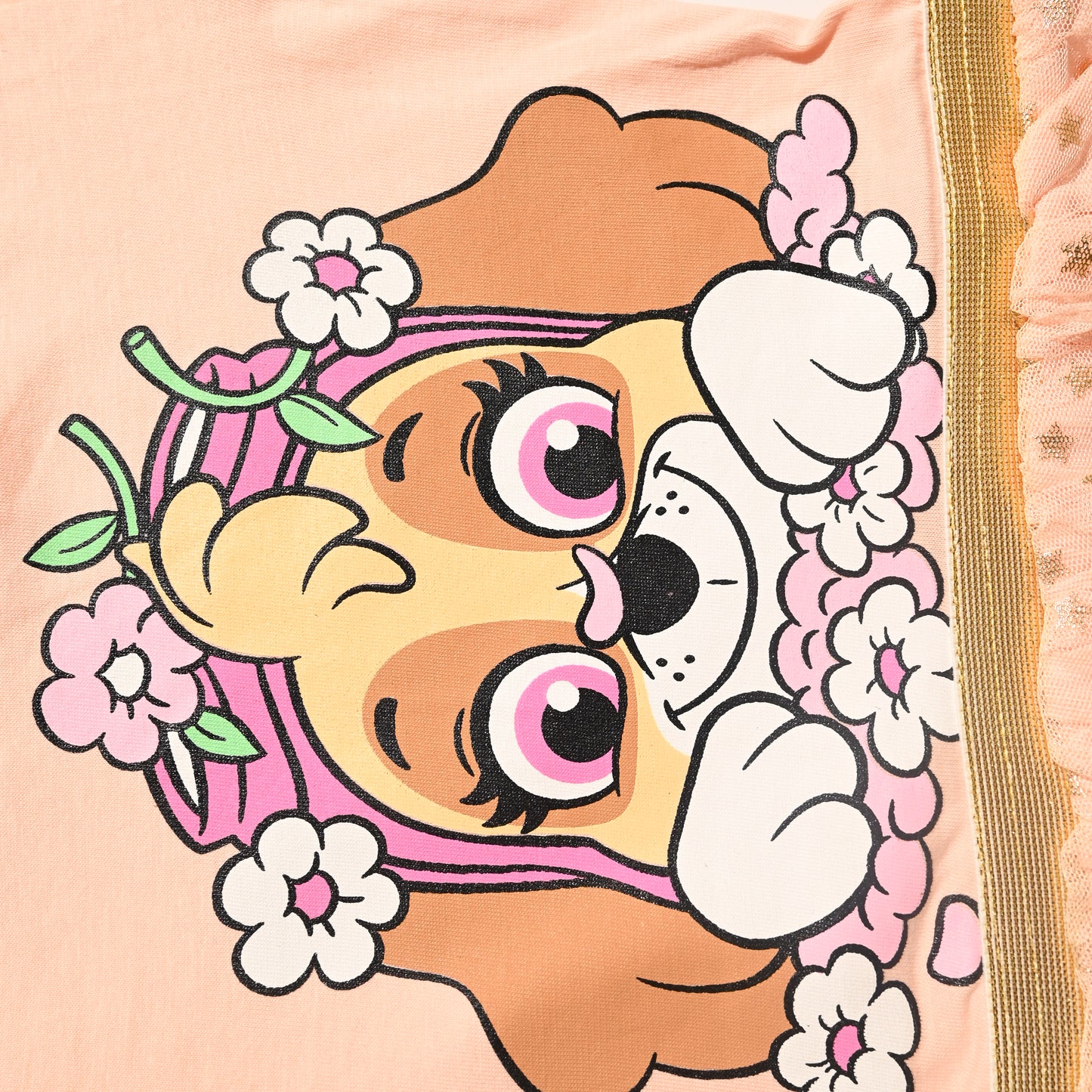 Paw Patrol Toddler Girl's Floral Print Tulle Dress, Beige