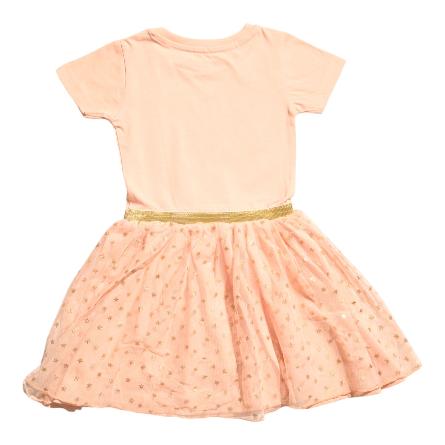 Paw Patrol Toddler Girl's Floral Print Tulle Dress, Beige