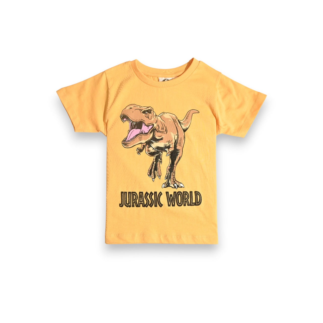 JURASSIC PARK BOYS T-SHIRT & SHORT SET‬